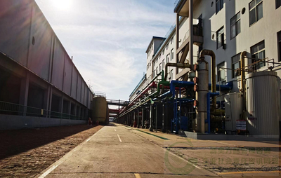 更綠色更環(huán)保--瀛海香料攜手博奕方略為實現(xiàn)碳中和而努力